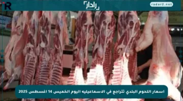 أسعار اللحوم البلدي تتراجع في الإسماعيلية اليوم الخميس 14 أغسطس 2025